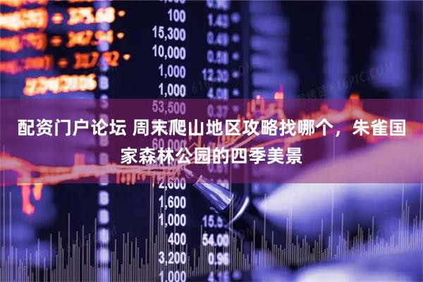 配资门户论坛 周末爬山地区攻略找哪个，朱雀国家森林公园的四季美景